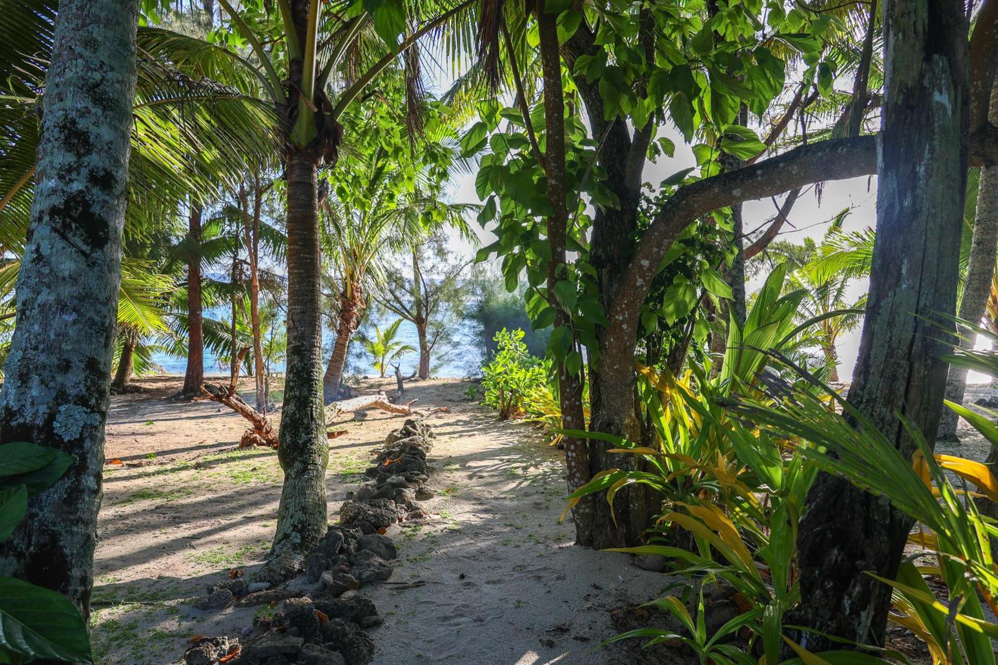 Inave Holidays Rarotonga Eksteriør bilde